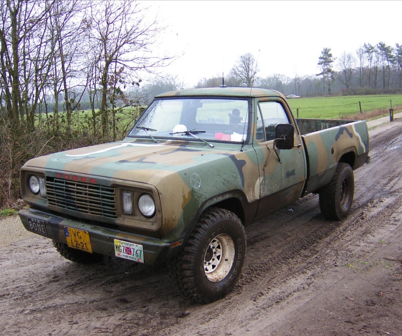 1976 Dodge W200