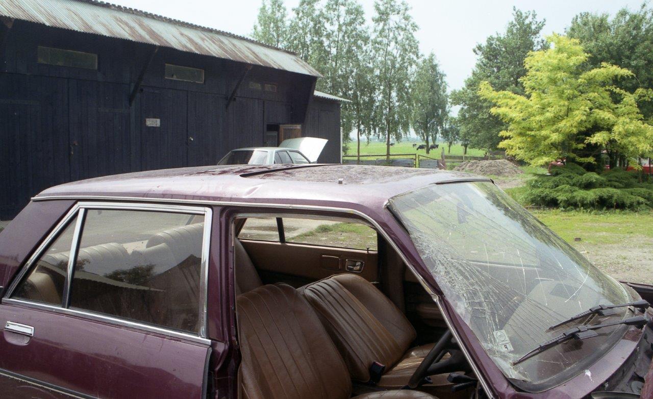 img413.jpg